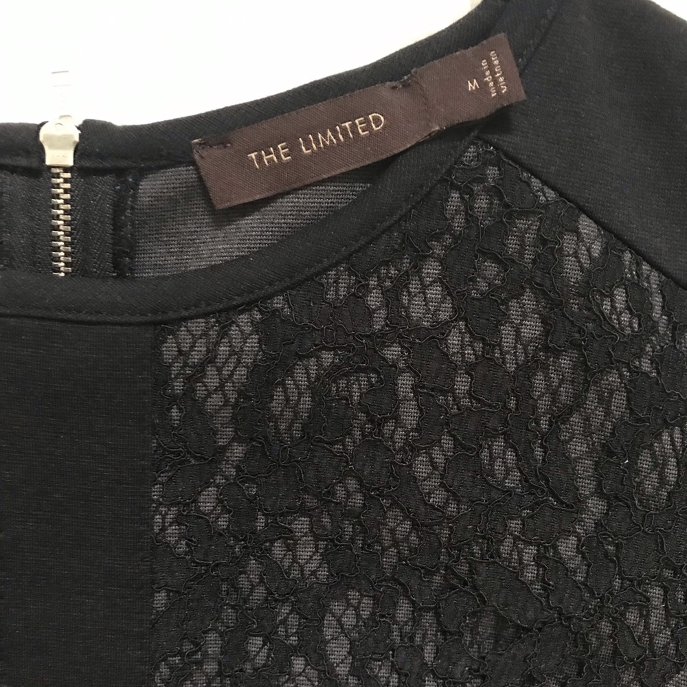 NWOT The Limited Dress w/Lace Details - Picture 3 of 6